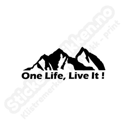 One Life Live It
