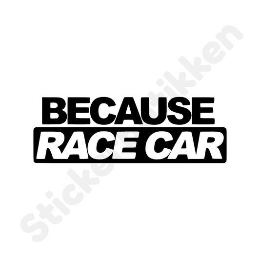 Because Racecar
