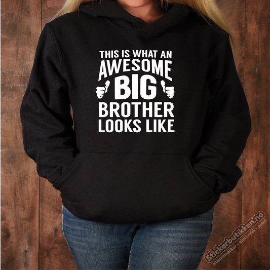 Awsome Big Brother