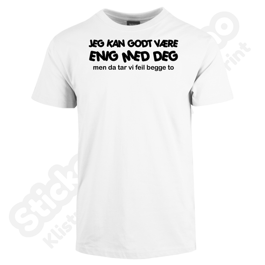 Jeg Kan Være Enig Med Deg