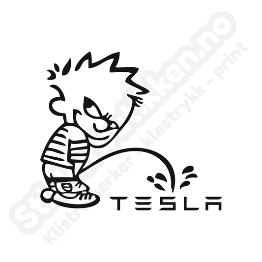 Pee On Tesla